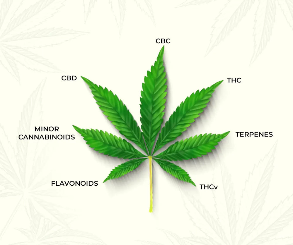 components included in cannabinoid