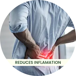 reduces inflamation