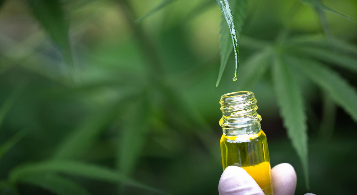 image of cannabinoid oil and it's myth